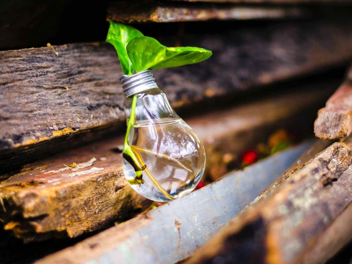 A telling question!?